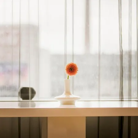 Homesphere * Tallinn